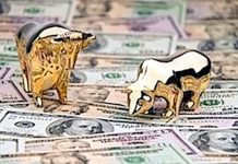 wall street bull bear on money